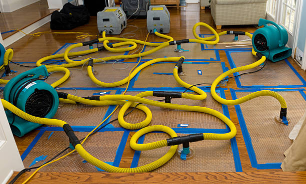 Professional Water Damage Repair technician working in Mandeville, LA